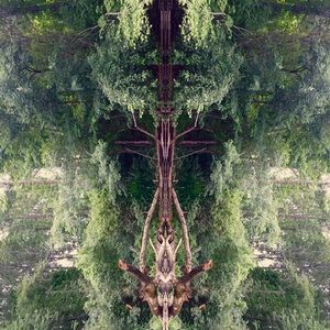 Meet your Posher, Shea